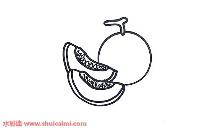 哈密瓜怎么画 哈密瓜简笔画步骤