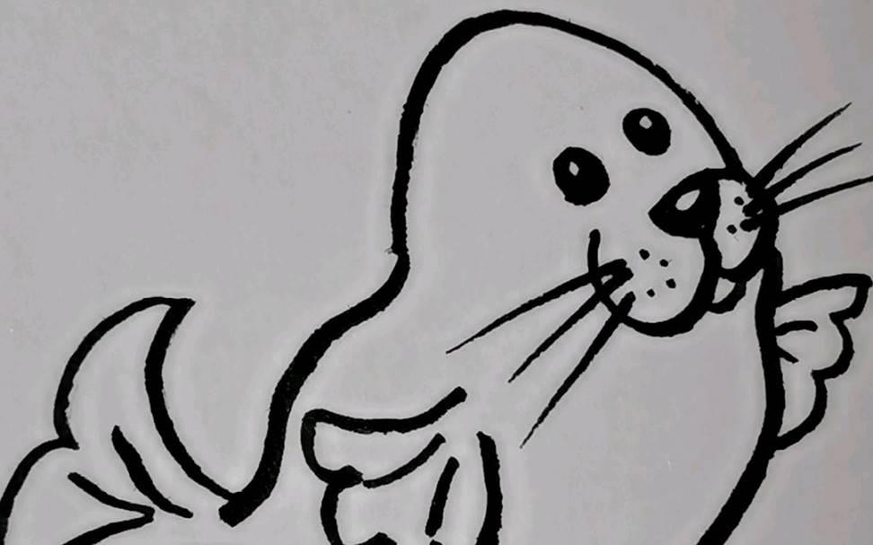 海豹简笔画 海豹简笔画图片