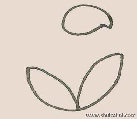 马蹄莲儿童简笔画