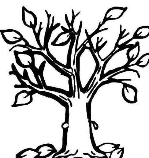 大树的简笔画 大树的简笔画图片