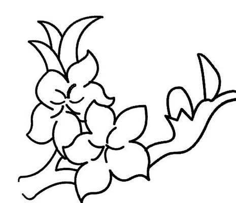 花简笔画图片大全大图 玫瑰花简笔画图片带颜色