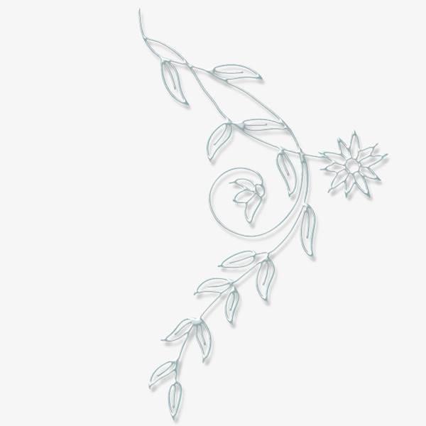 树藤简笔画图片大全 树藤简笔画图片大全可爱