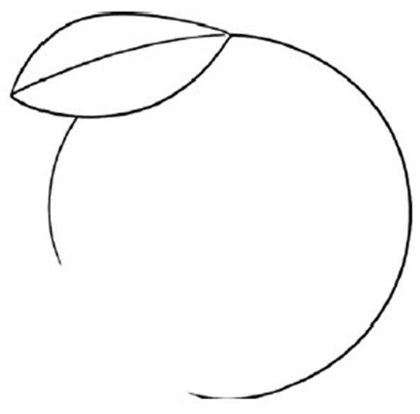 美味的橙子简笔画怎么画 美味的橙子简笔画图片