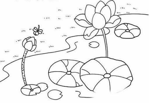 夏季简笔画图片大全 夏季简笔画图片大全集彩色