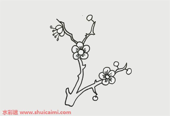 梅花怎么画 梅花简笔画简单又漂亮彩色