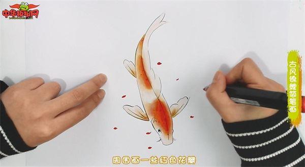 古风锦鲤怎么画 古风锦鲤简笔画画法