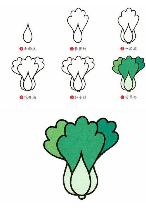 青菜简笔画 青菜简笔画图片