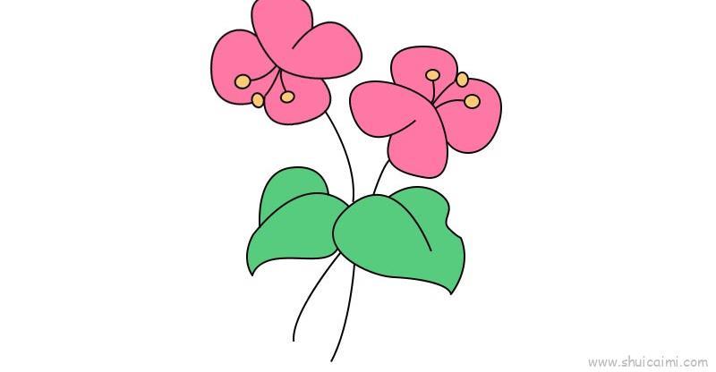 蝴蝶兰儿童画怎么画 蝴蝶兰简笔画好看