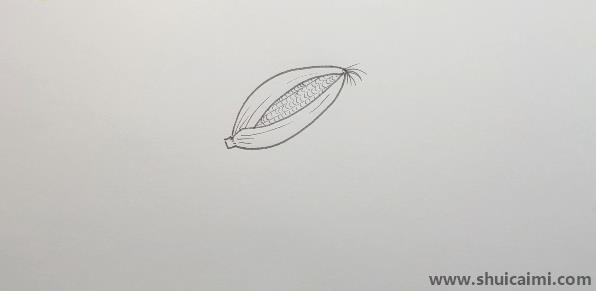 一根玉米的简笔画步骤图片介绍