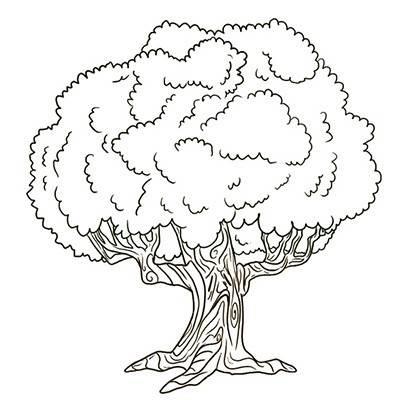 大树简笔画图片大全 大树简笔画图片大全大图