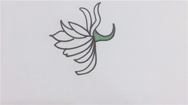 昙花的简笔画怎么画 昙花简笔画好看