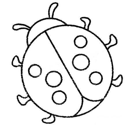 瓢虫简笔画 瓢虫简笔画儿童画