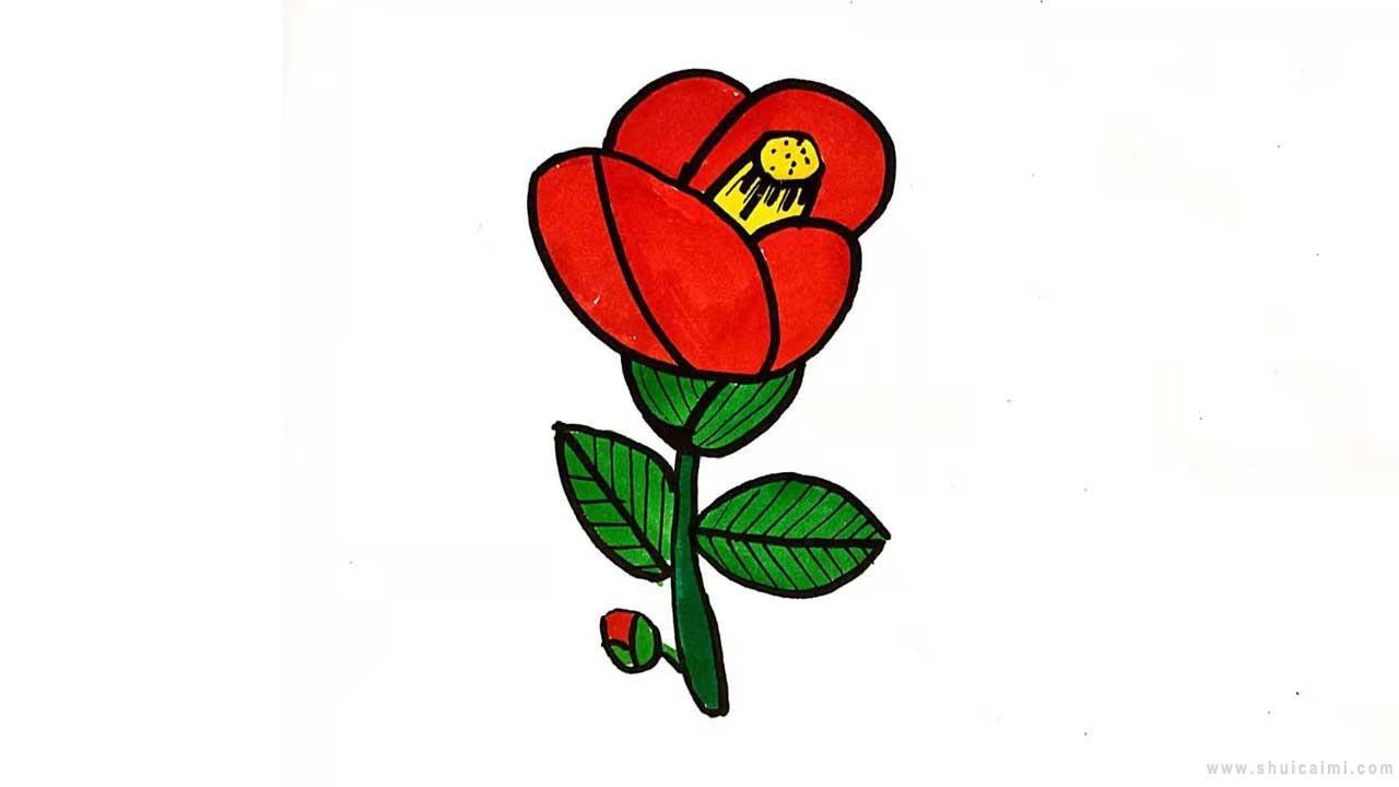 山茶花简笔画怎么画?简单又好看的山茶花简笔画详细教程