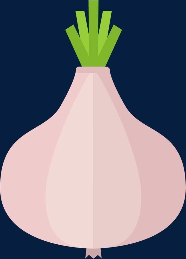 洋葱简笔画图片大全 洋葱简笔画图片大全可爱