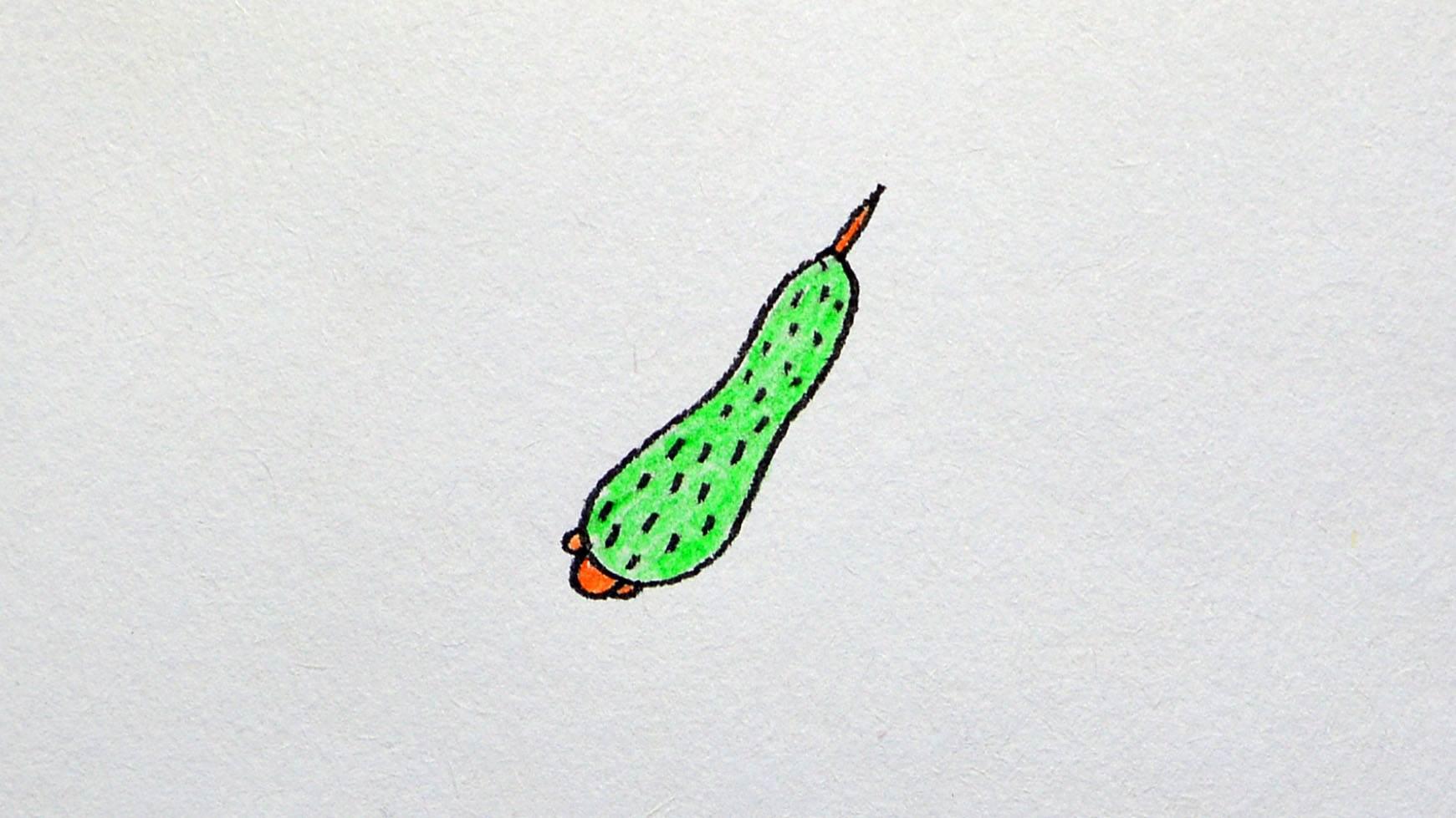 黄瓜简笔画 黄瓜简笔画图片