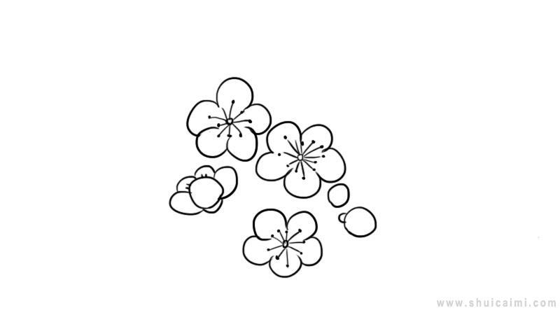 桃花简笔画怎么画 桃花简笔画简单又好看