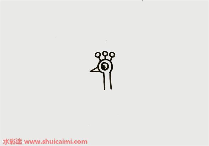 一只美丽孔雀怎么画 孔雀简笔画图片大全彩色