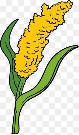 高粱简笔画 怎样画高粱简笔画