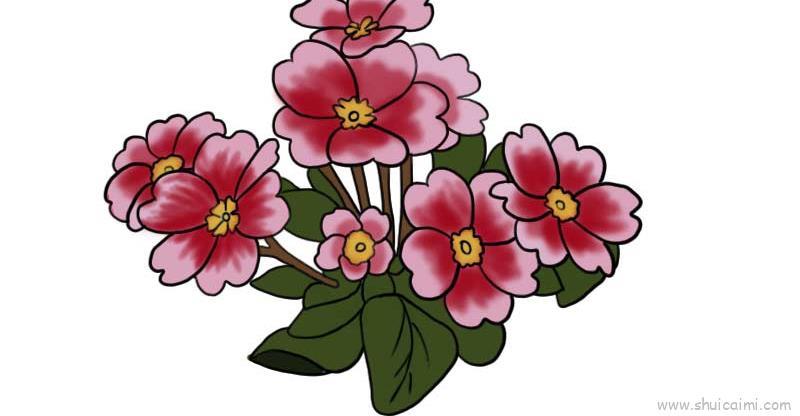 樱花草儿童画怎么画 樱花草简笔画简单