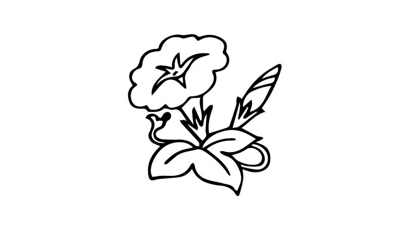 牵牛花简笔画怎么画 牵牛花简笔画简单