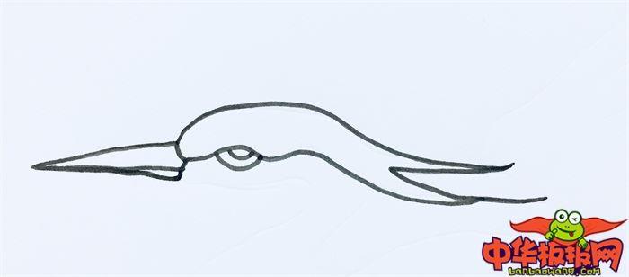 飞翔白鹭怎么画 飞翔白鹭简笔画画法