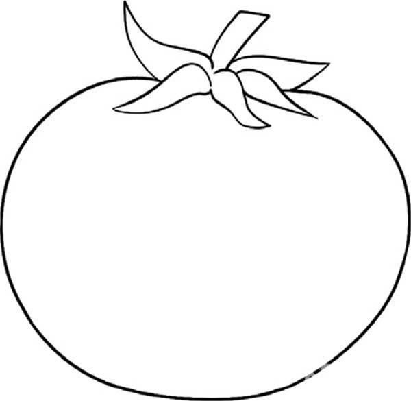 西红柿简笔画 西红柿简笔画简单