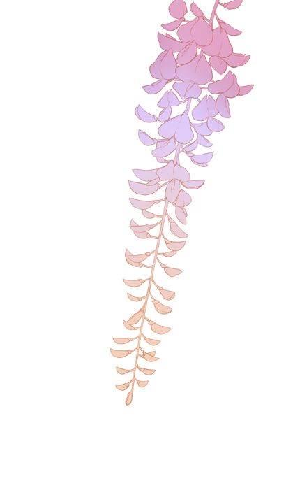 紫藤萝简笔画 紫藤萝简笔画简单又好看