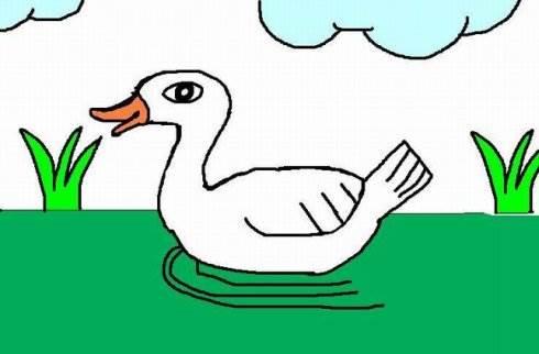 大白鹅简笔画图片大全 大白鹅简笔画图片大全可爱图片