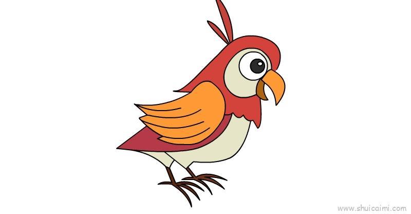 鹦鹉儿童画怎么画 鹦鹉简笔画简单又好看