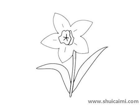 水仙花儿童简笔画