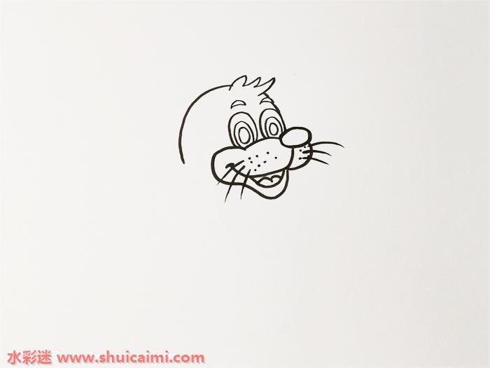 彩色可爱海豹怎么画 可爱海豹简笔画图片大全带颜色