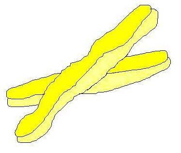 油条简笔画 豆浆油条简笔画