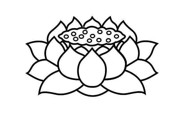 莲花简笔画 莲花简笔画简单又好看