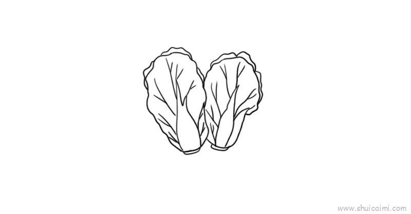 白菜儿童画怎么画 白菜简笔画图片大全