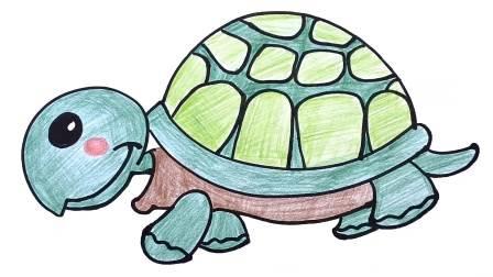 乌龟简笔画 乌龟简笔画儿童简笔画