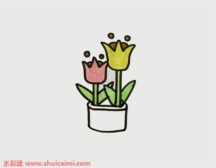盆栽郁金香怎么画 盆栽郁金香简笔画步骤