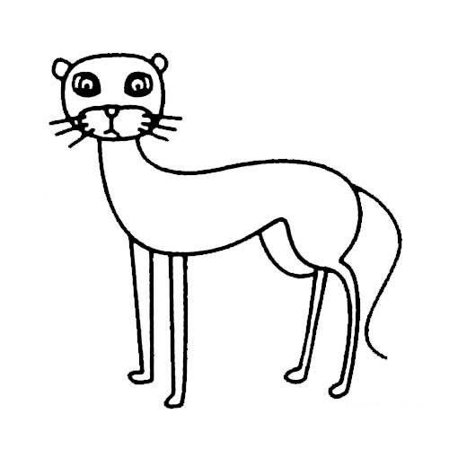 猎豹简笔画 奔跑的猎豹简笔画