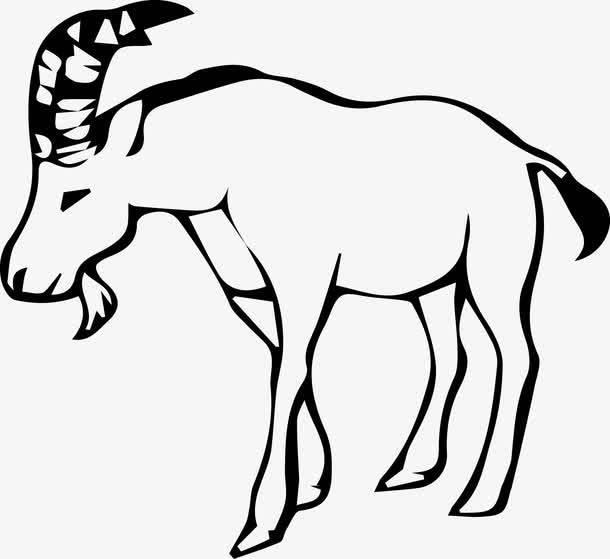 羊头的简笔画图片大全 羊头的简笔画图片大全带颜色