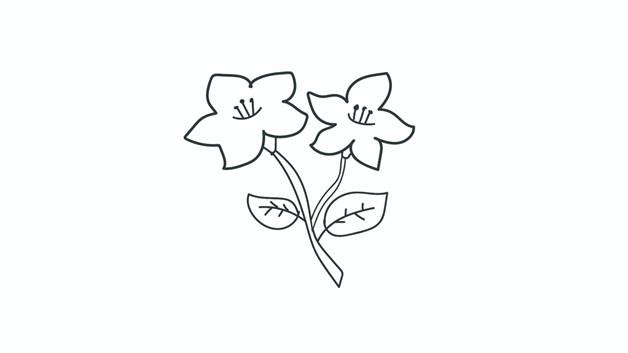 杜鹃花简笔画怎么画 杜鹃花简笔画简单