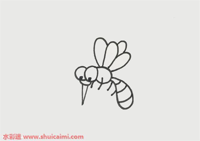 蚊子怎么画 蚊子简笔画简单又漂亮彩色