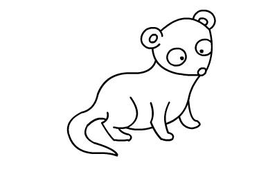 貂的简笔画怎么画 水貂简笔画
