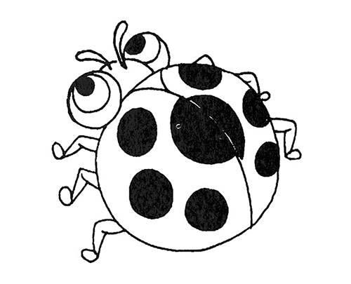 瓢虫简笔画 瓢虫简笔画儿童画