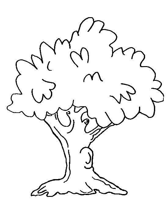 一棵大树简笔画 一棵大树简笔画松树