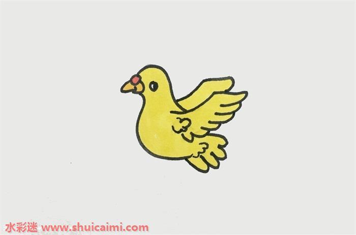 鸽子怎么画 鸽子简笔画画法