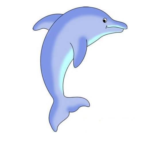 海豚简笔画 海豚简笔画简单