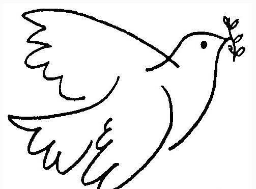 信鸽简笔画 和平信鸽简笔画