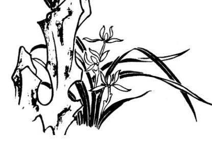 兰花简笔画图片大全 兰花简笔画图片大全带颜色