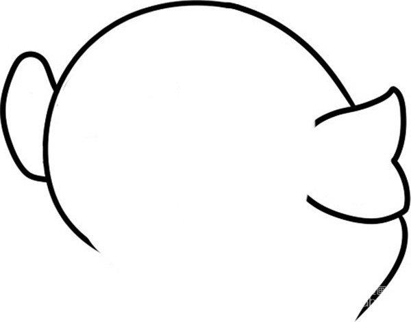 好奇的小金鱼简笔画怎么画 好奇的小金鱼简笔画画法