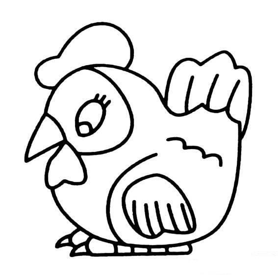 鸡简笔画 鸡简笔画图片