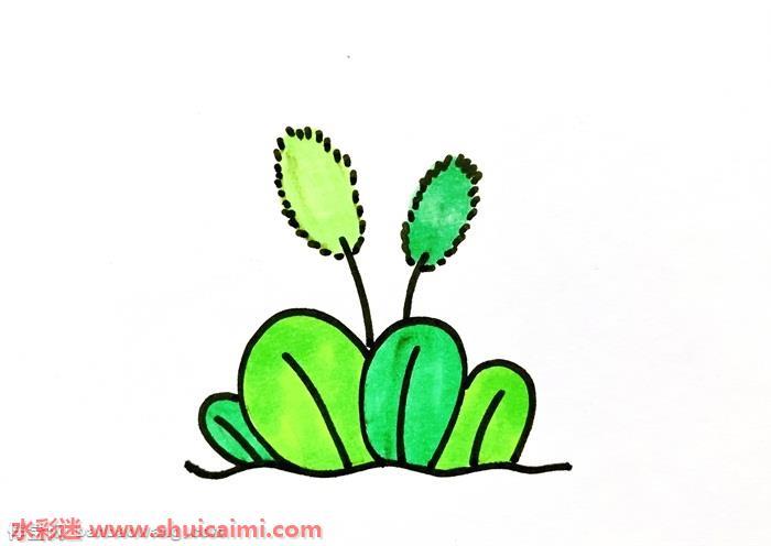 狗尾巴草怎么画 狗尾巴草简笔画简单彩色